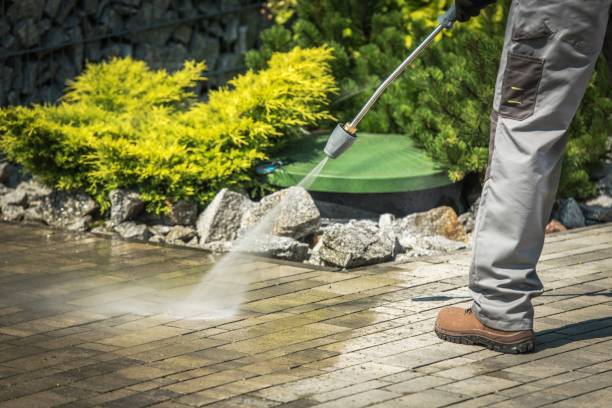 Best Boat and Dock Cleaning  in Las Lomas, TX