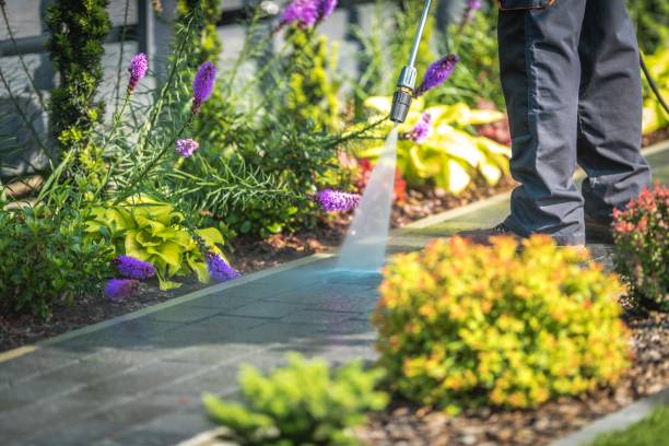 Trusted Las Lomas, TX Pressure Washing Experts