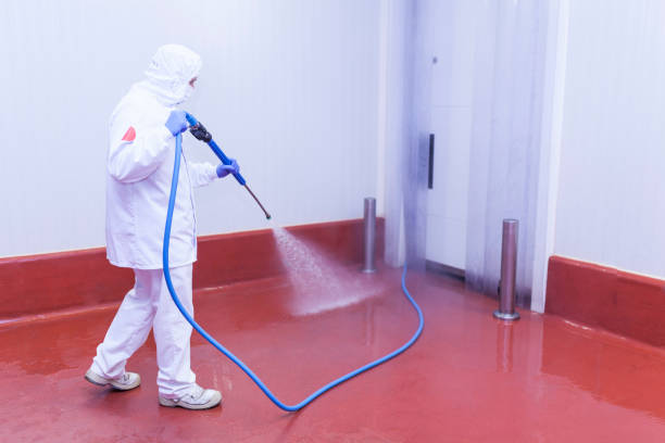 Best Gas Station Cleaning  in Las Lomas, TX