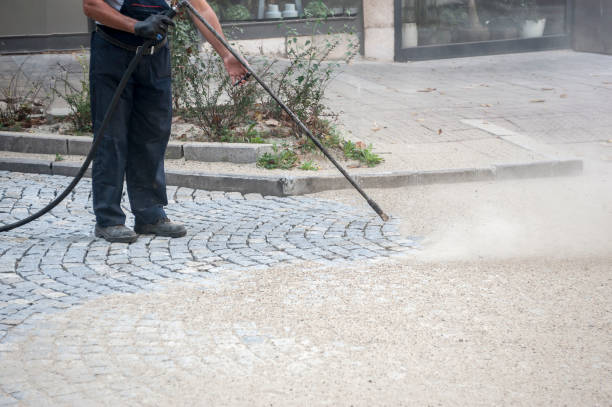 Best Roof Washing  in Las Lomas, TX