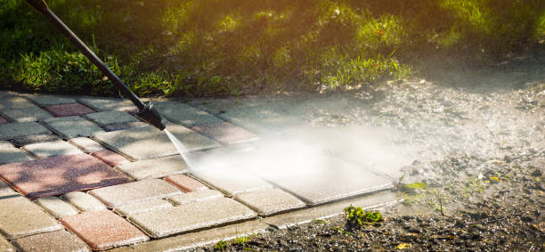 Best Fence Cleaning  in Las Lomas, TX