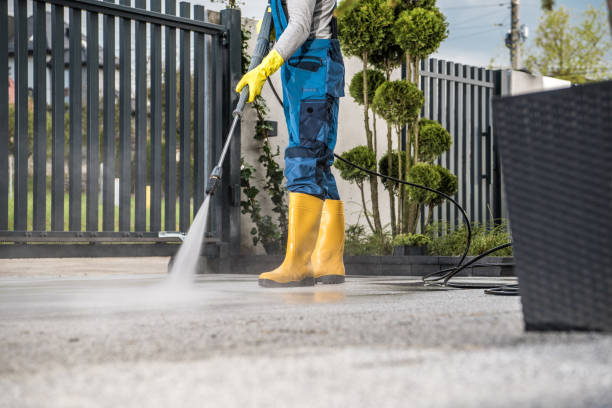 Best Solar Panel Cleaning  in Las Lomas, TX